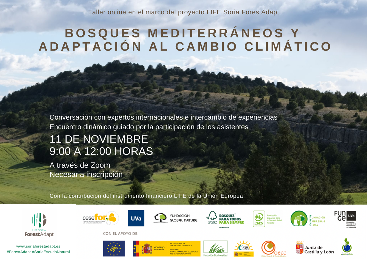 Taller online Bosques Mediterráneos y adaptación al cambio climático