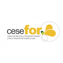Fundación Cesefor