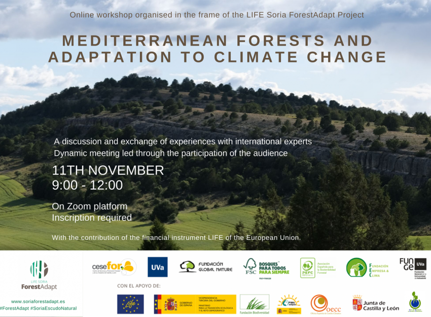 Online workshop: 'Mediterranean forests and adaptation to climate change'.