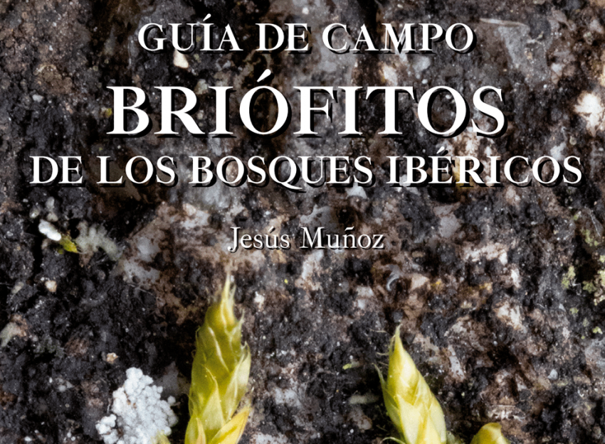 Portada de la Guía publicada por el CSIC sobre briofitos en bosques ibéricoss